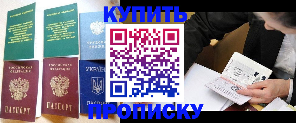 прописка для школы в Далматово